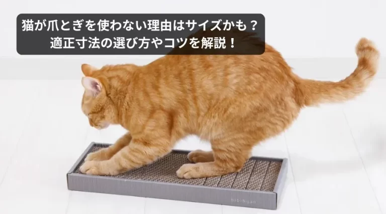 猫　爪とぎ　サイズ
